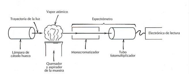Esquema de los componentes principales de un espectrómetro de absorción